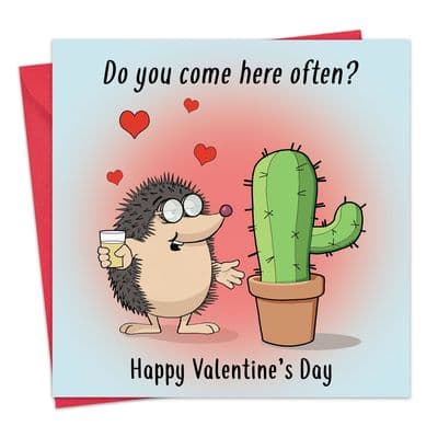 CS29 - Funny Valentines Day Card Hedgehog Beer Goggles