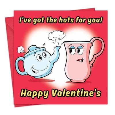 CS35 - Funny Valentines Day Hots For You