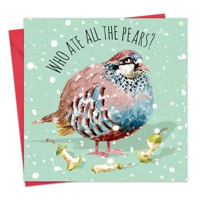 CSH12 - Humour Christmas Card - Partridge - Who Ate All The Pears