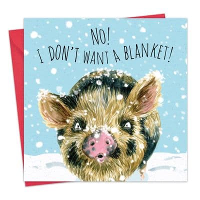 CSH14 - Funny Christmas Card - Pig - No Blankets!