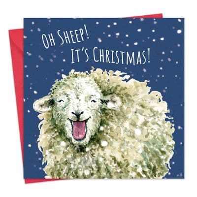 CSH16 - Funny Christmas Card - Sheep - Oh Sheep