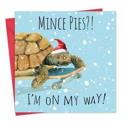 CSH17 - Funny Christmas Card - Tortoise - Mince Pies