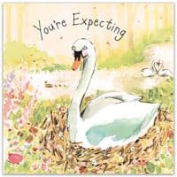 Youre Expecting Cards. Mum To Be Cards. New Baby Cards. Pregnant Cards. Congratulations Cards. Twizler.