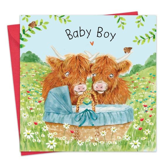 New Baby Boy Cards. New Baby Cards. Congratulations Cards. Congratulations Baby Cards. Highland Cow.