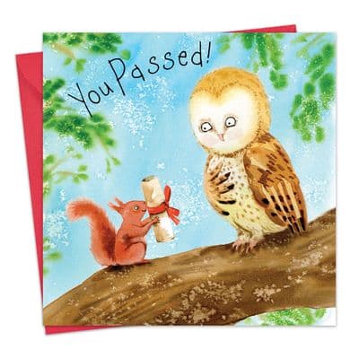 FIZ46 - You Passed Your Exams Congratulations Card