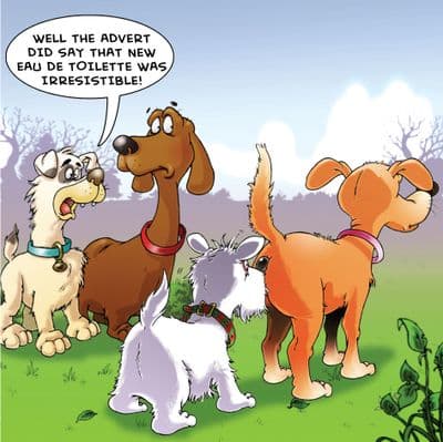 fra18 - Humour Card - Eau De Toilette