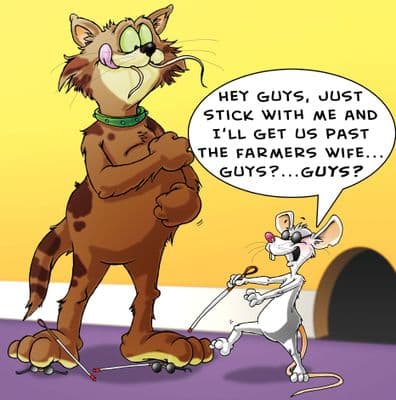 FRA7 - Funny Cat and Mouse Card