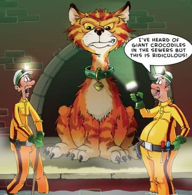 FRA8 - Giant Cat - Humour Card