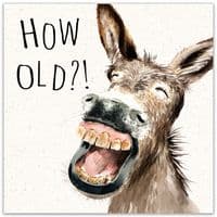 Funny Cards. Funny Birthday Cards. Humour Cards. Funny Animal Cards. Humorous Greeting Cards. Twizler.