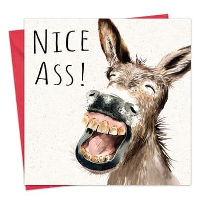 SH027 - Funny Valentine's Day Card - Donkey