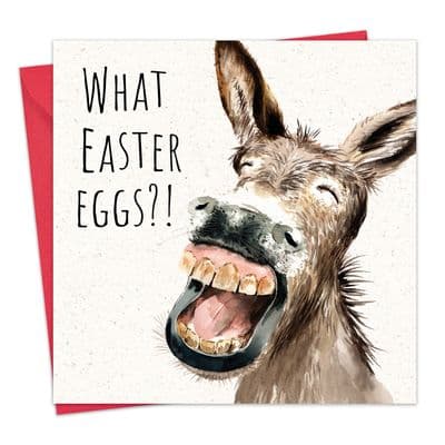 SH033 - Funny Easter Card - Donkey
