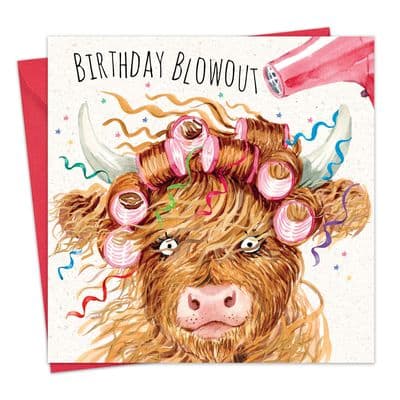 SH088 - Funny Birthday Card for Her - Highland Cow Blowout