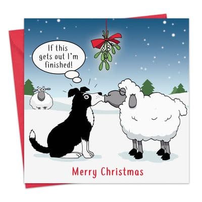 XMAS25 - Funny Xmas Card Sheepdog Antics