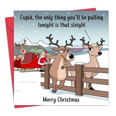 XMAS69 - Funny Christmas Card - Only Pulling that Sleigh
