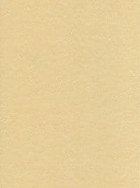 Buff Parchment Effect Card 150gsm Craft Inkjet & Laser 40 A4 Sheets