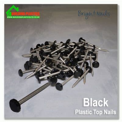 30mm Plastic Top Pins Black Box 250