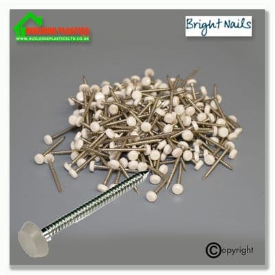 30mm Plastic Top Pins White Box 250