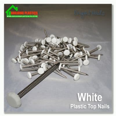 40mm Plastic Top Nails White Box 100