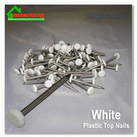 40mm Plastic Top Nails White Box 100 | Building Plastics Tele 0333 050 0585