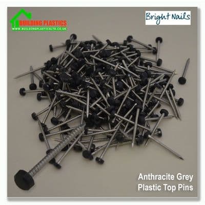 40mm Plastic Top Pins Anthracite Grey Box 250