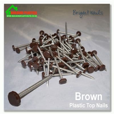 40mm Plastic Top Pins Brown Box 250
