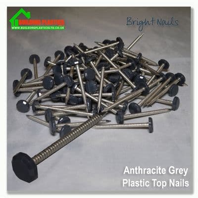 50mm Plastic Top Nails Anthracite Grey Box 100