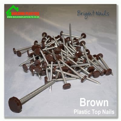 50mm Plastic Top Nails Brown Box 100