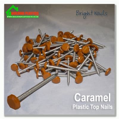 50mm Plastic Top Nails Golden Oak Box 100