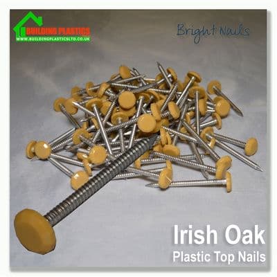 50mm Plastic Top Nails Irish Oak Box 100