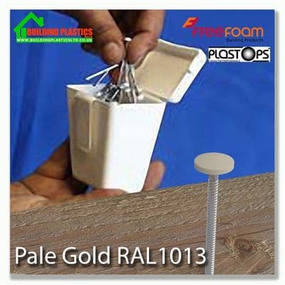 50mm Plastic Top Nails Pale Gold Box 100 RAL 1013