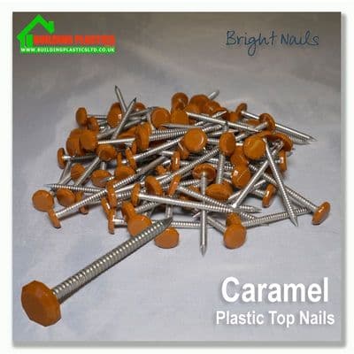 65mm Plastic Top Nails Light/Golden Oak Box 100
