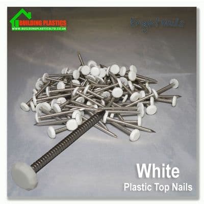65mm Plastic Top Nails White Box 100