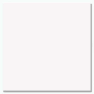 Gloss White Wall Panels - 4 Panels 250mm x 2.6m | Zest