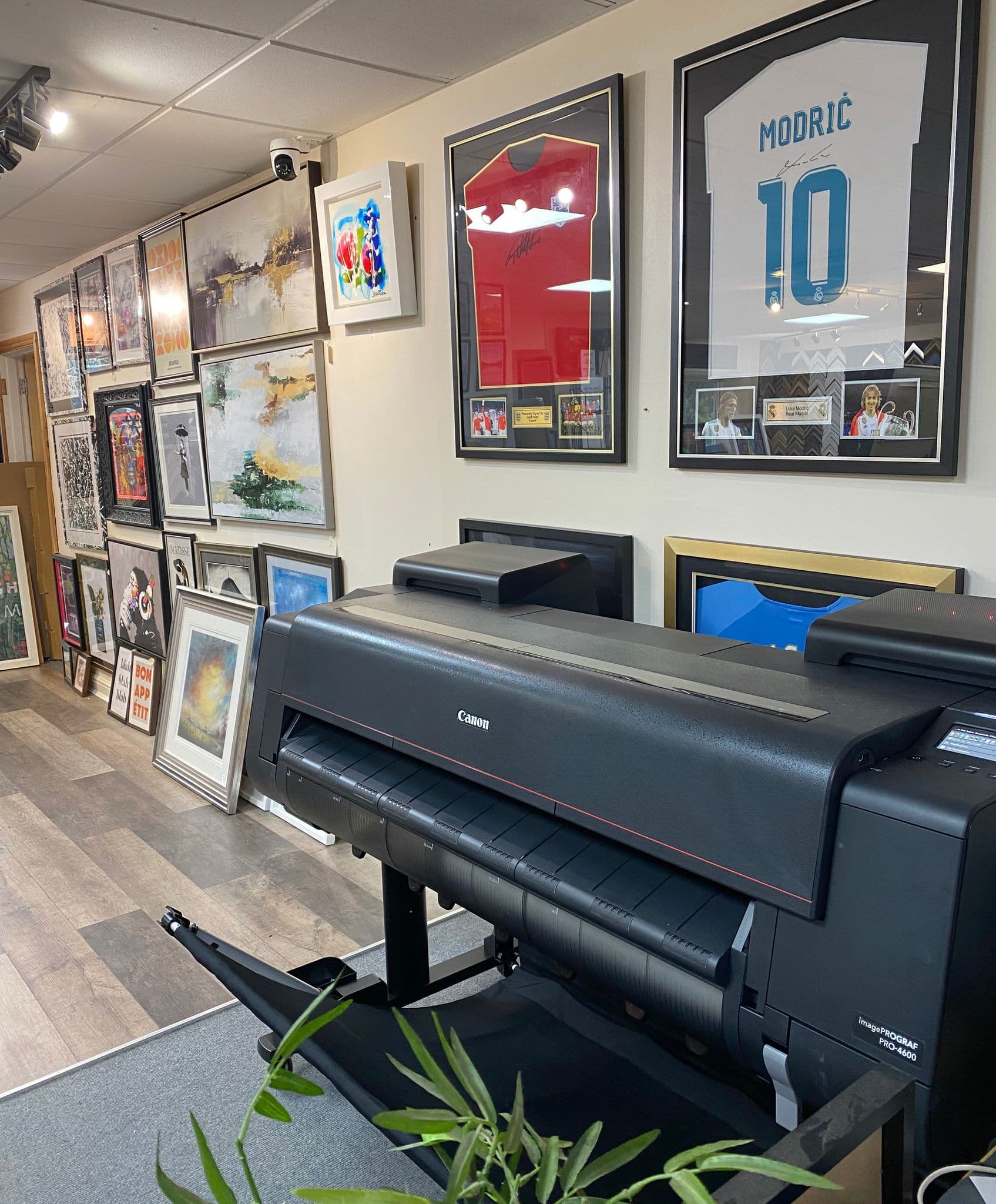 Canon PRO-4600 Printer Installation - Preston