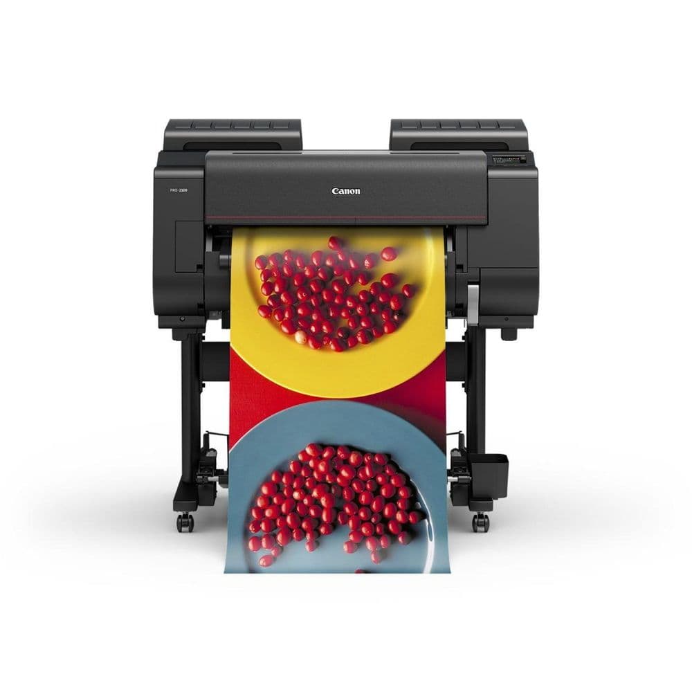 Canon imagePROGRAF PRO-2100 - MKII Series 24