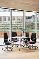 Accis Pro Ergonomic Chair