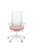 Accis Pro Ergonomic Chair