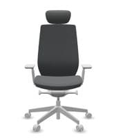 Accis Pro Ergonomic Chair