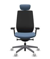 Accis Pro Ergonomic Chair