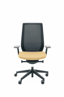 Accis Pro Ergonomic Chair