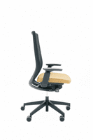 Accis Pro Ergonomic Chair