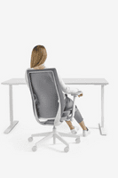 Accis Pro Ergonomic Chair