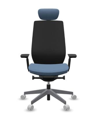 Accis Pro Ergonomic Chair