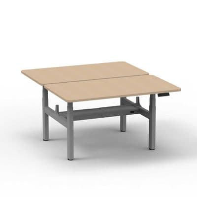 Double Electric Standing Desk (back-to-back) - Advanced Touch Remote Control