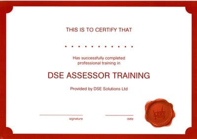 DSE Assessor Training (1 Day)