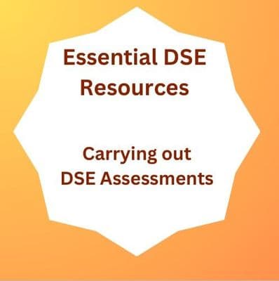 Essential DSE Resources, Carrying out DSE Assessments
