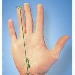 HandShoe Mouse - Wired - Left Hand - Small and Large