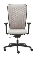 RIM Space Mesh  Synchro Ergo Flex Ergonomic Office Chair