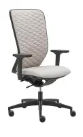 RIM Space Mesh  Synchro Ergo Flex Ergonomic Office Chair