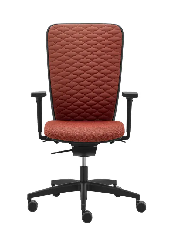 RIM Space Mesh  Synchro Ergo Flex Ergonomic Office Chair